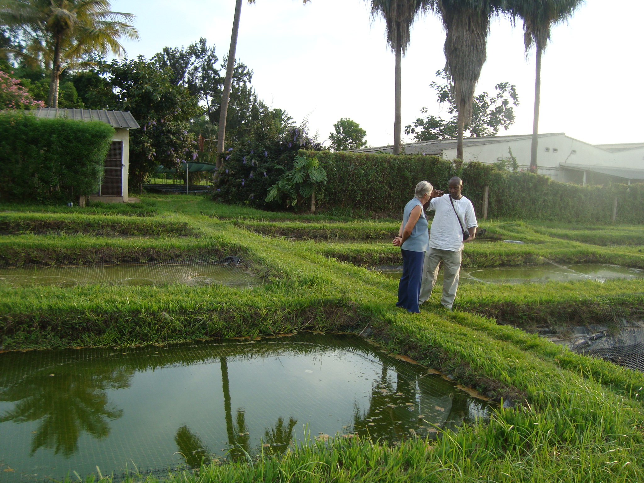EcoH Holdings origanic waste treatment