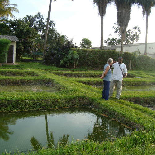 EcoH Holdings origanic waste treatment