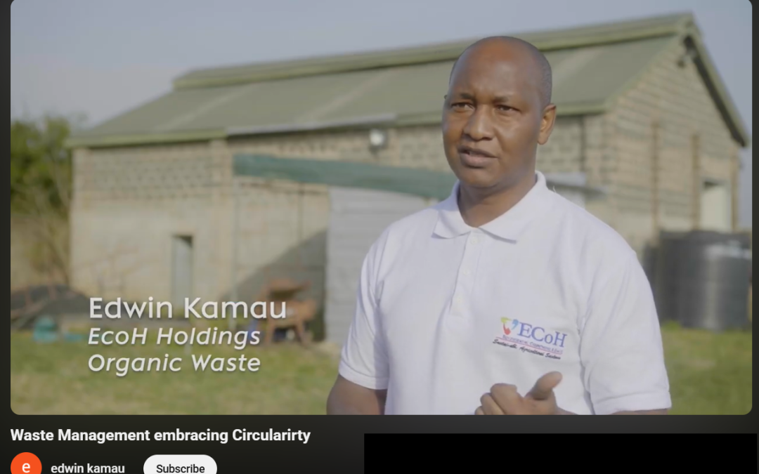 Waste as a Strategic Resource in a Circular Economy Framework